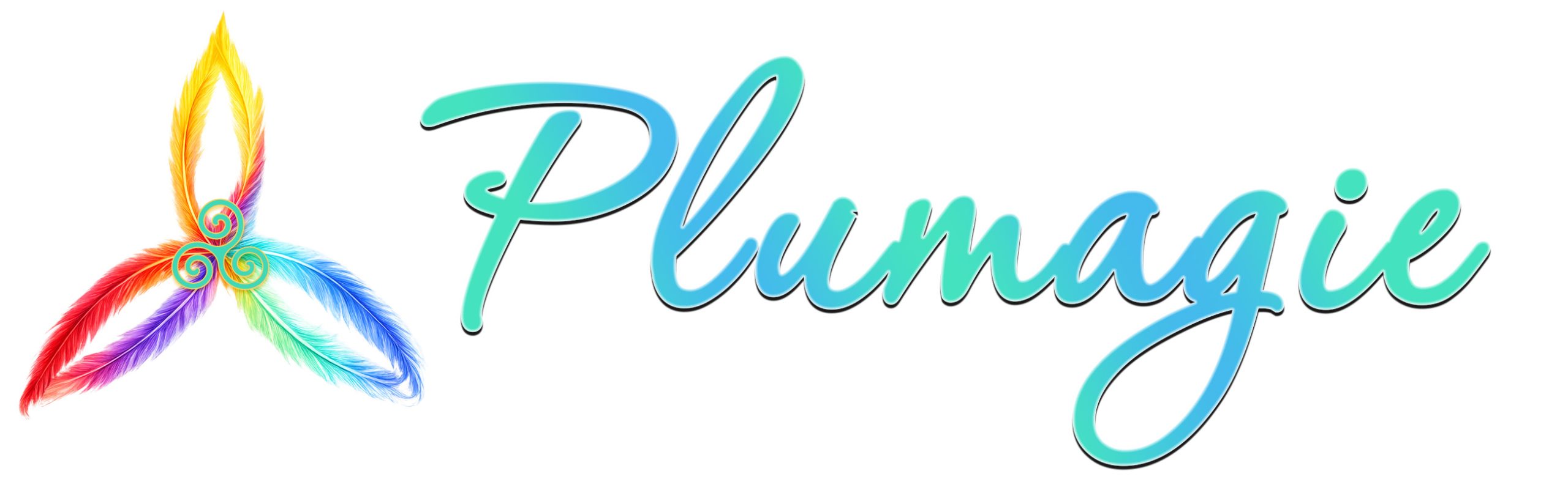 Logo Plumagie Magnétisme, lecture d'äme, cercle de femme, voyage sonore, soins énergétiques